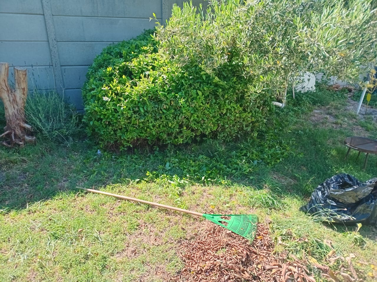 Garden maintenance